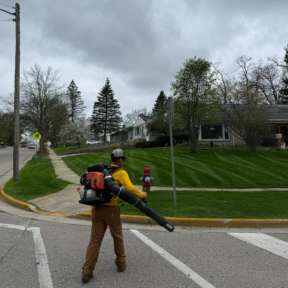 Spring & Fall Cleanup